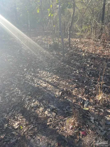 a view of outdoor space and a yard