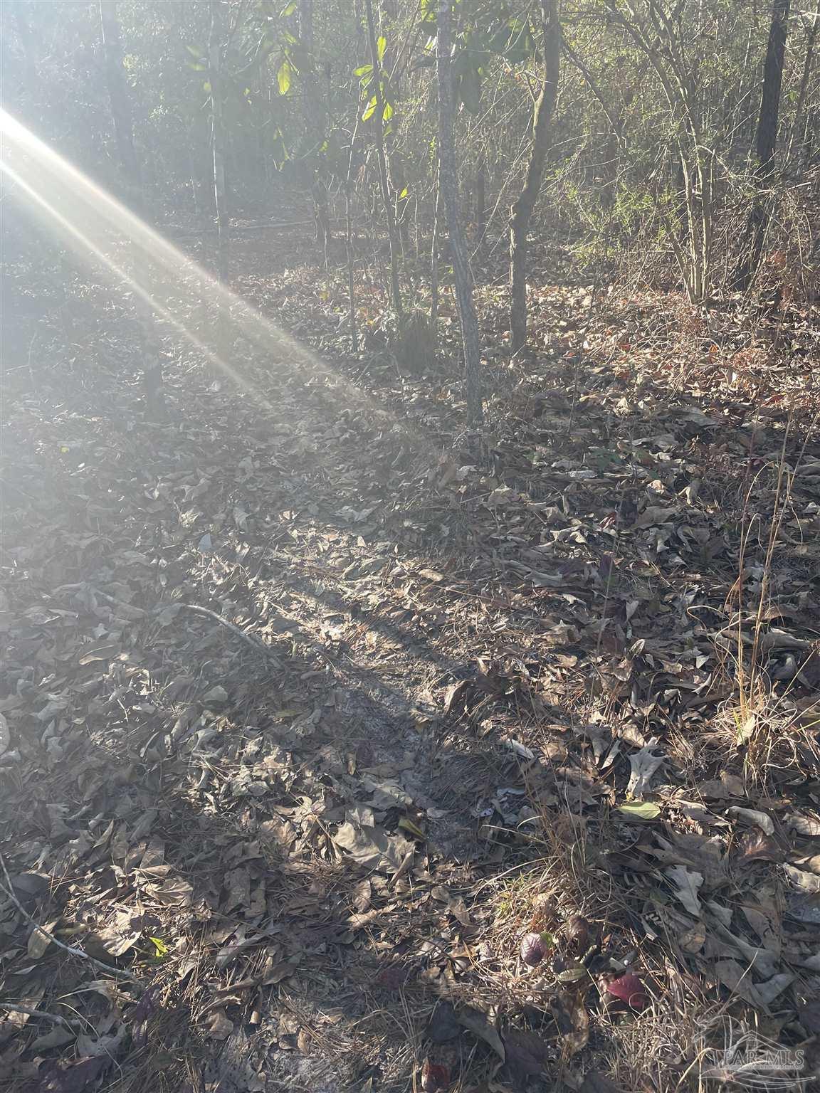 0 Walling Road Milton, FL 32570 - Photo 7 of 14