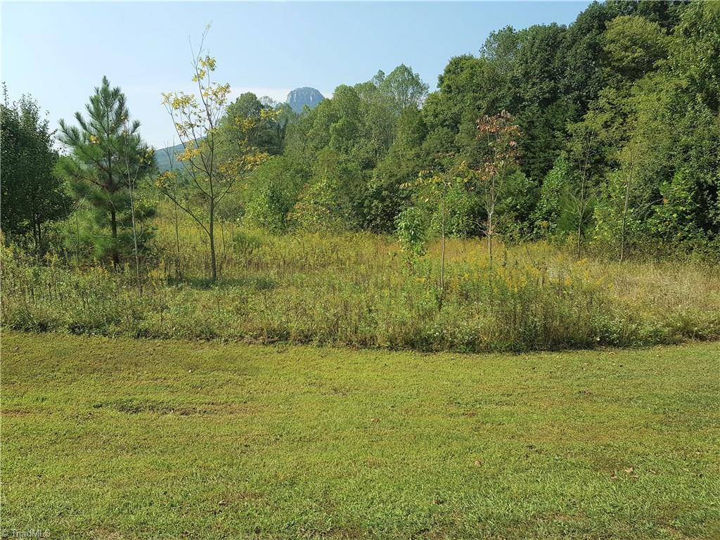 Lot 7-8 Julius Tucker Road Pinnacle, NC 27043 - Photo 3 of 10