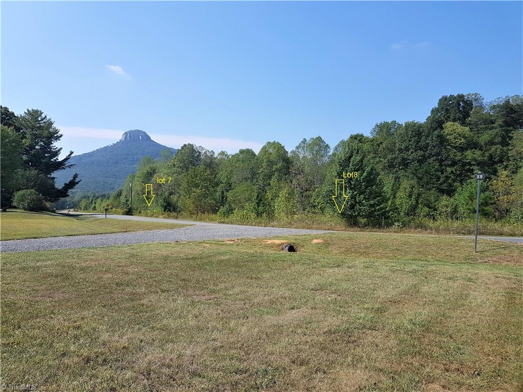 Lot 7-8 Julius Tucker Road Pinnacle, NC 27043 - Photo 4 of 10