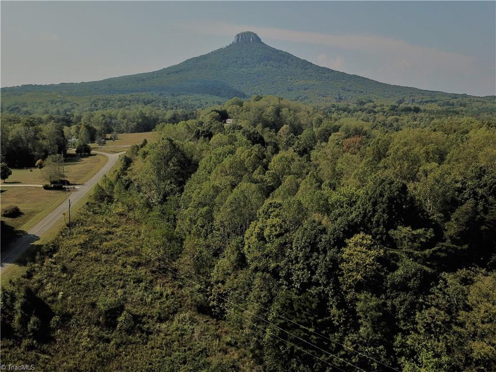 Lot 7-8 Julius Tucker Road Pinnacle, NC 27043 - Photo 7 of 10