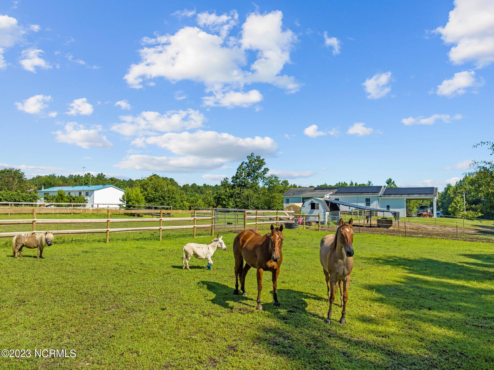 492 North Chubb Road Willard, NC 28478 - Photo 26 of 69 26-web-or-mls-DJI_0631