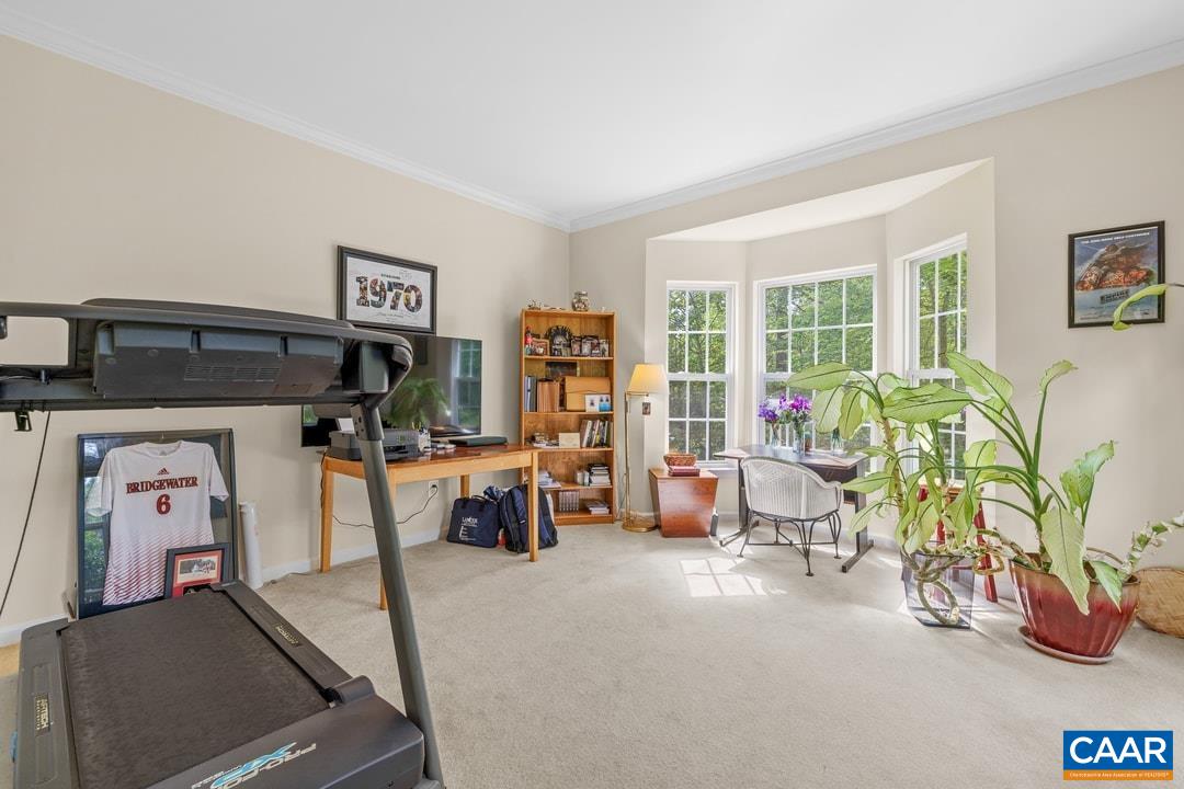 154 Foxmoor Road Troy, VA 22974 - Photo 23 of 48 Gallery Image 23