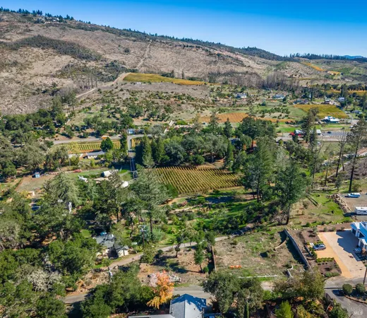 an aerial view of residential houses with outdoor space and trees