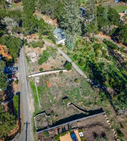 a view of a yard with potted plants