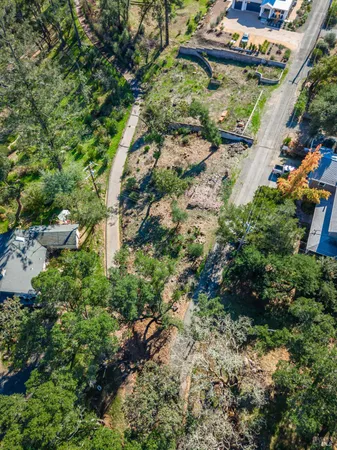 a view of a garden with a tree