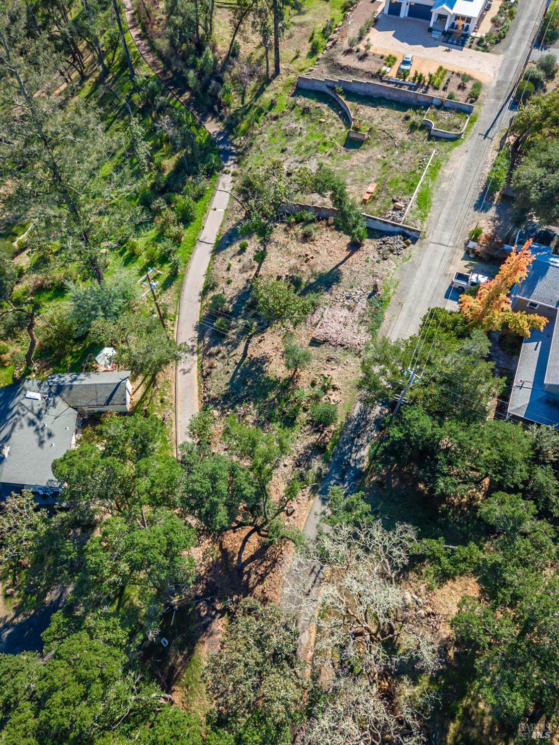 14 Upland Road St. Helena, CA 94574 - Photo 20 of 33 a view of a garden with a tree