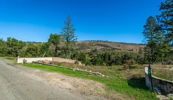 a view of a lush green space with lots of trees