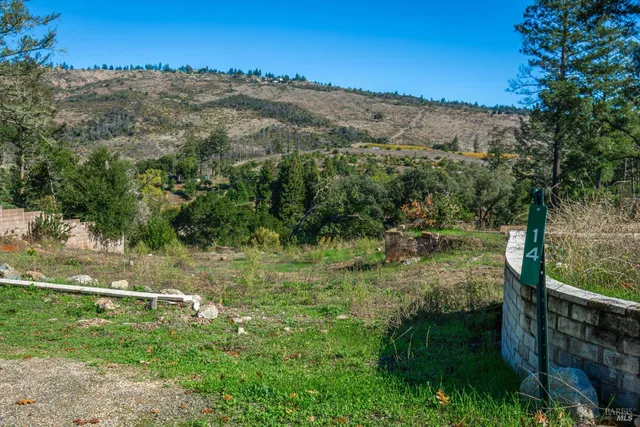 a view of outdoor space and yard
