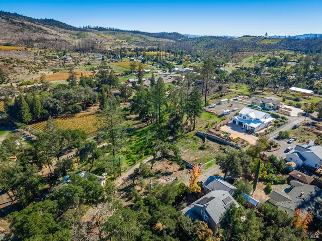 an aerial view of residential houses with outdoor space and trees