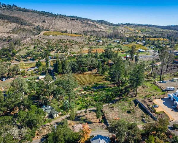 an aerial view of residential houses with outdoor space and trees