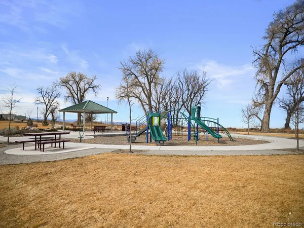 a view of a basket ball ground