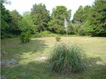 280 Bonds Road Chickamauga, GA 30707 - Photo 3 of 7 Additional Photo