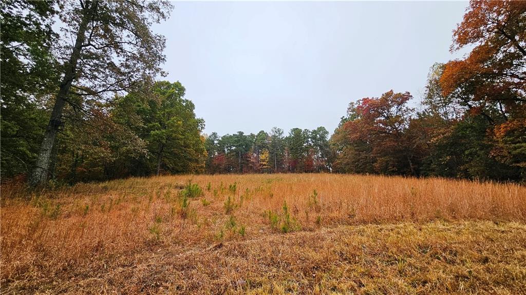 Lot 1 Snote Jones Road Dallas, GA 30132 - Photo 13 of 19 Gallery Image 13