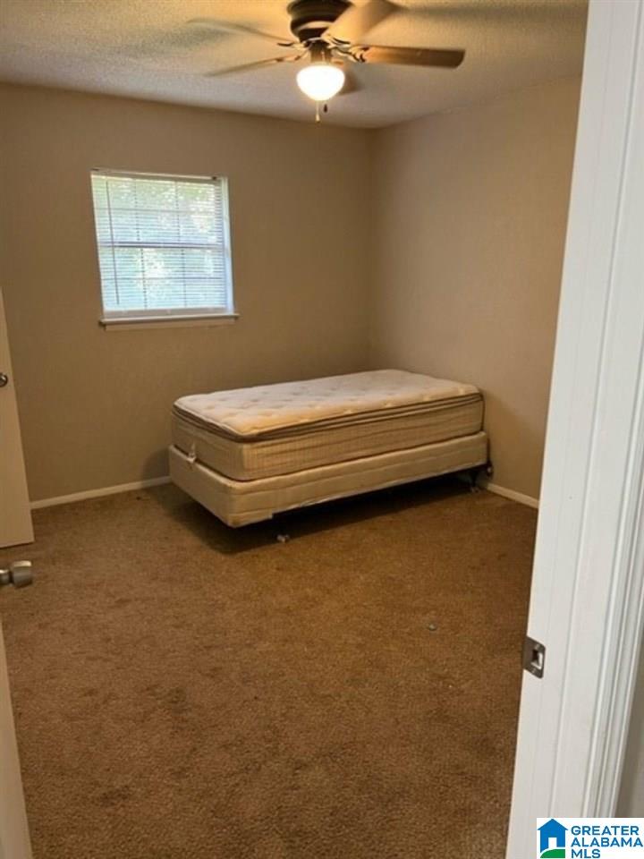 668 Bailey Springs Road Ohatchee, AL 36271 - Photo 11 of 12