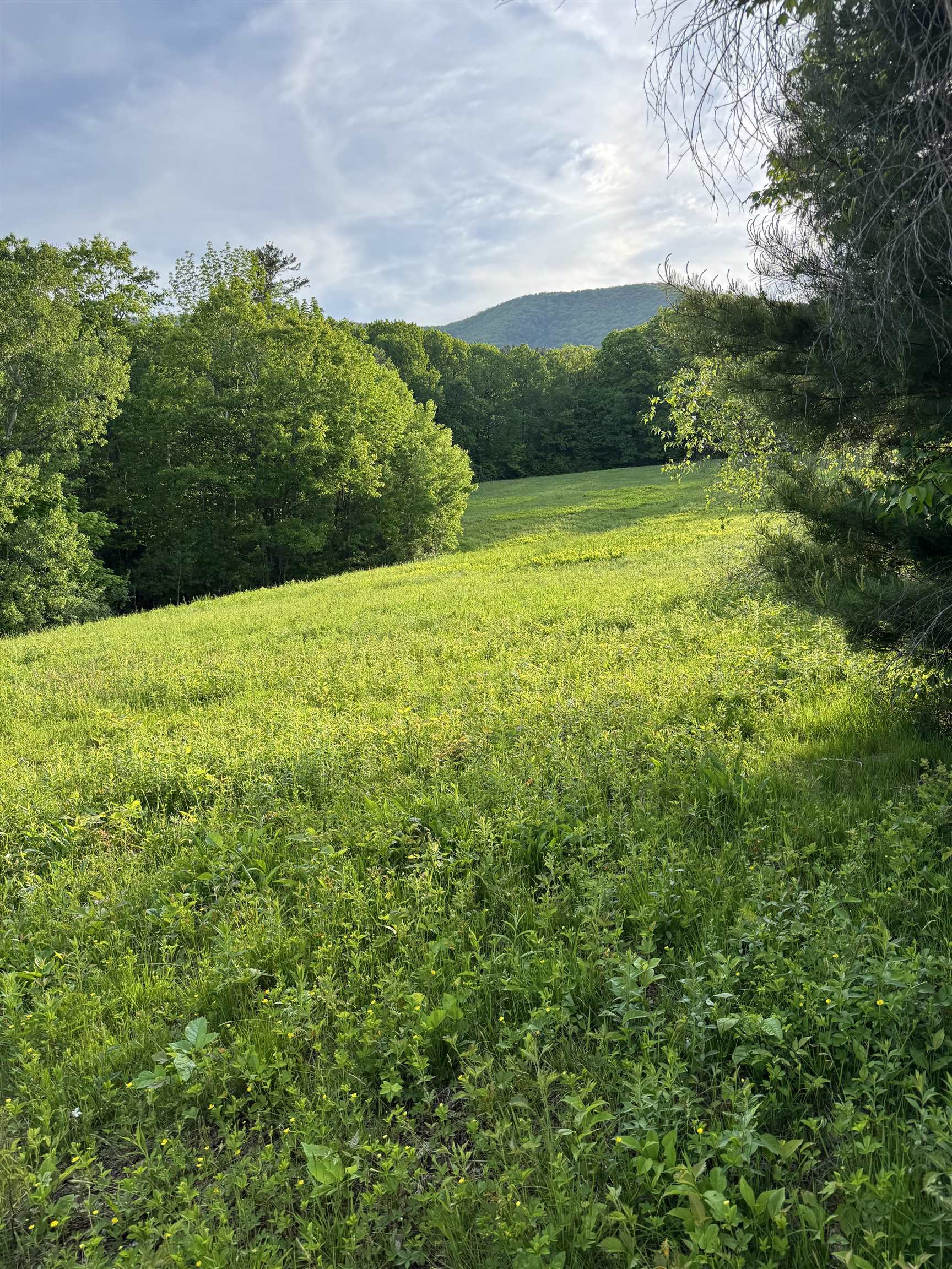 0 Montgomery Road Pownal, VT 05261 - Photo 3 of 3