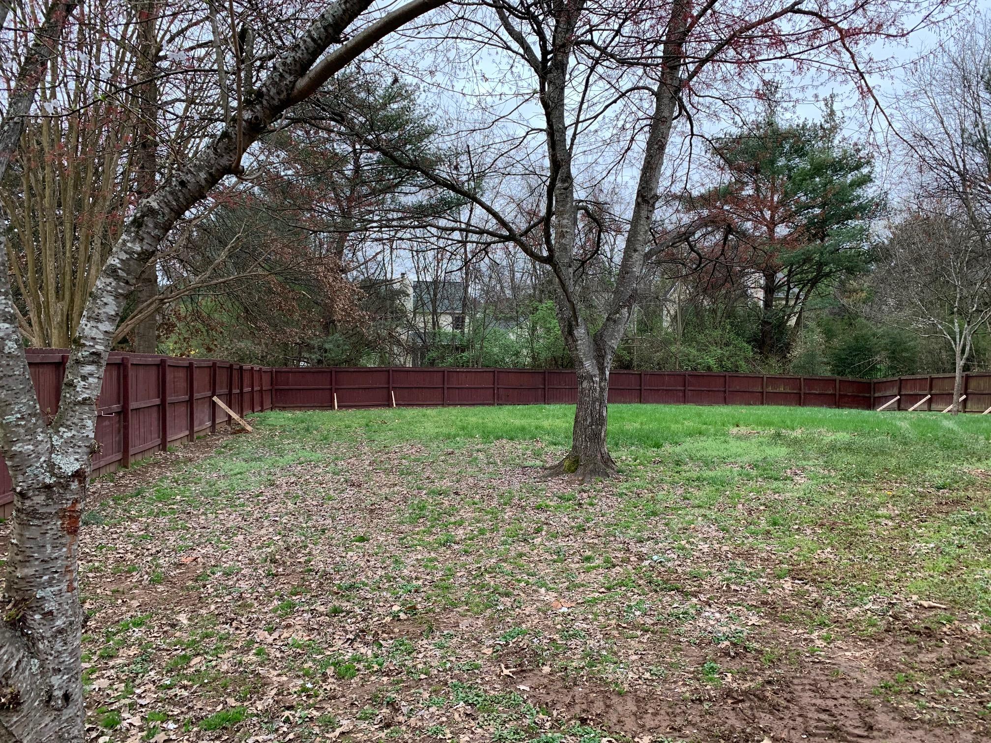 Huge level yard
