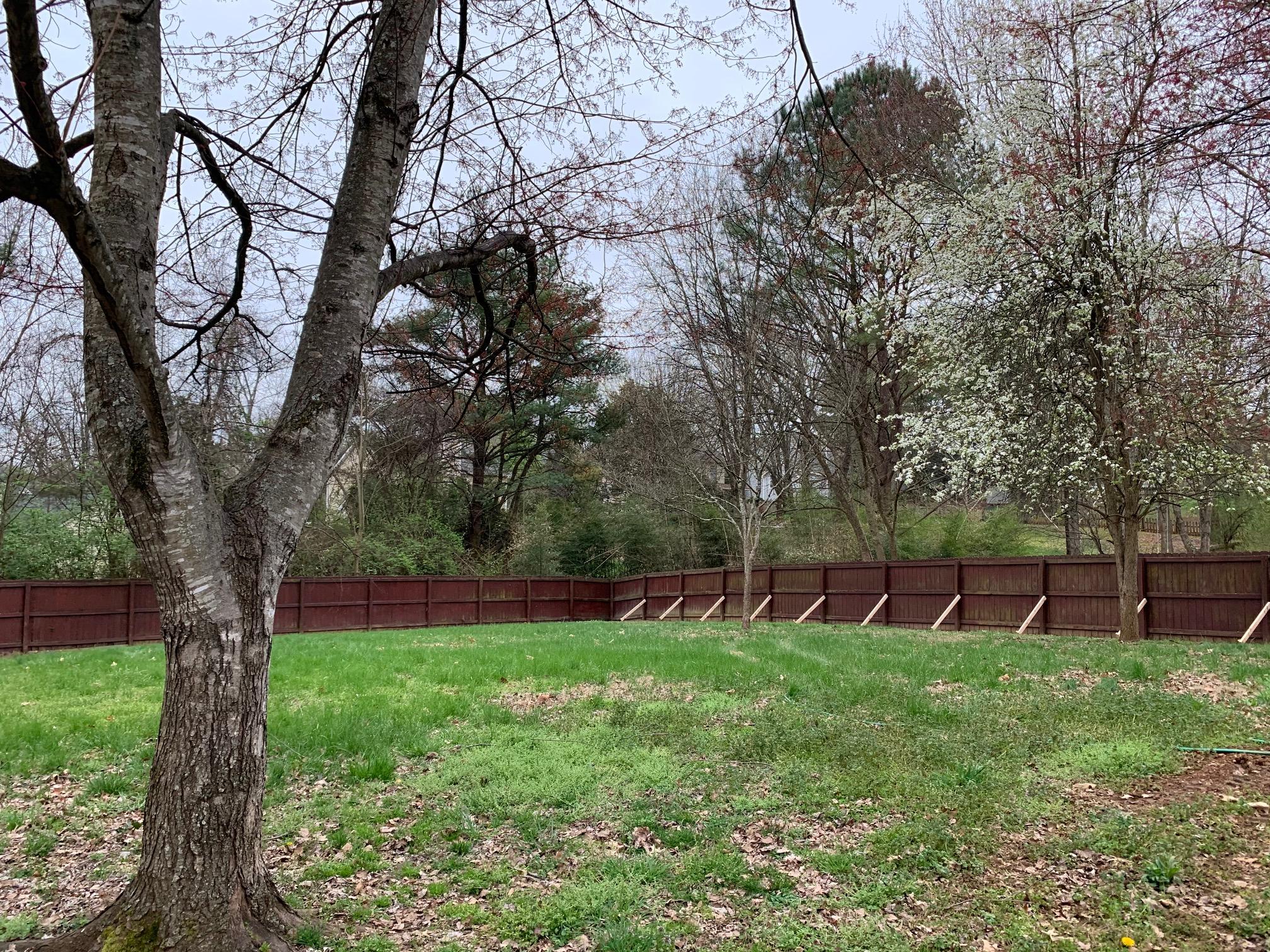 1224 Chelsea Road Knoxville, TN 37922 - Photo 22 of 24 Wood Fence