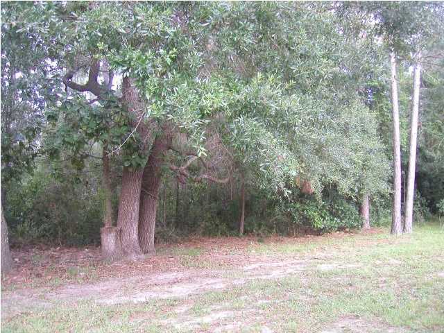 1636-j D J D Miller Road Santa Rosa Beach, FL 32459 - Photo 7 of 7 Gallery Image 7