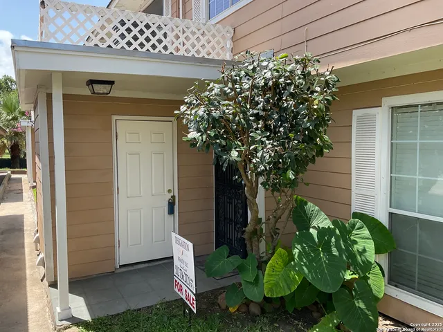 a plant is in front of a door