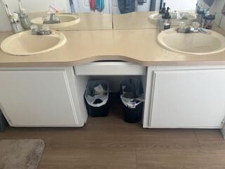 6806 North County Road 1630 Shallowater, TX 79363 - Photo 11 of 40 a bathroom with a sink and a mirror