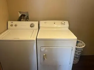 a view of a yard in front of a house