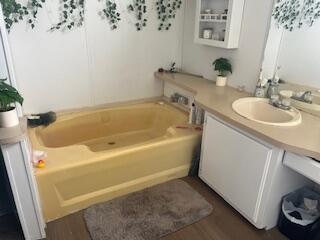 6806 North County Road 1630 Shallowater, TX 79363 - Photo 10 of 40 a bathroom with a sink and a tub