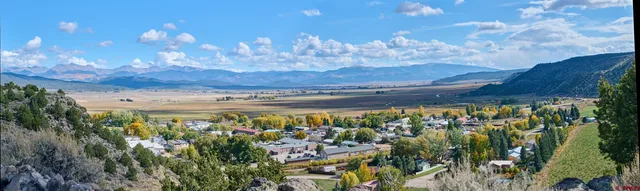 a view of a lot of trees and houses