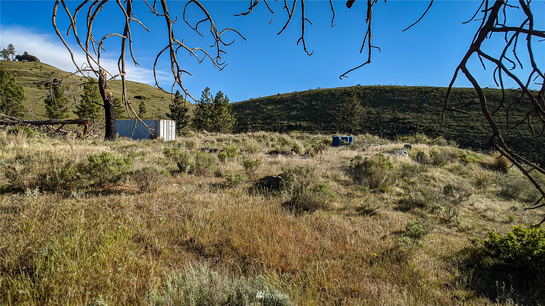 59 Bigelow Spring Road Waterville, WA 98858 - Photo 8 of 40 a view of a dry yard