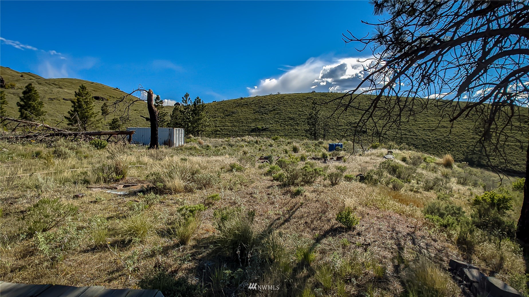 59 Bigelow Spring Road Waterville, WA 98858 - Photo 9 of 40 a view of a dry yard with mountains in the background