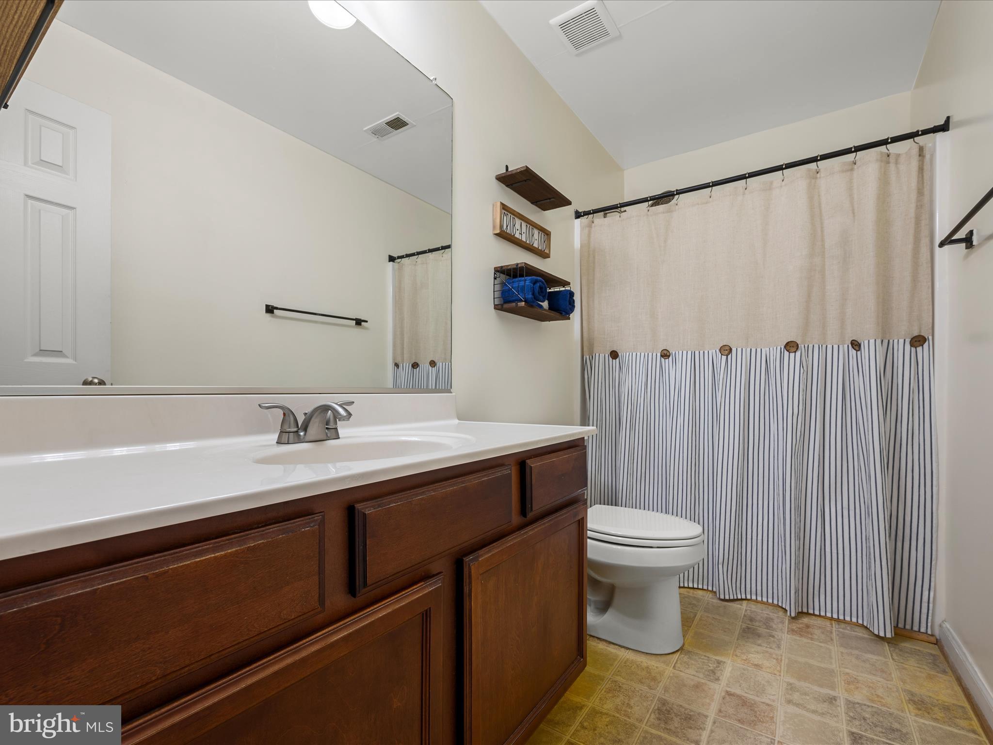 480 Hites Road Stephens City, VA 22655 - Photo 23 of 42 a bathroom with a sink a toilet a shower and a mirror