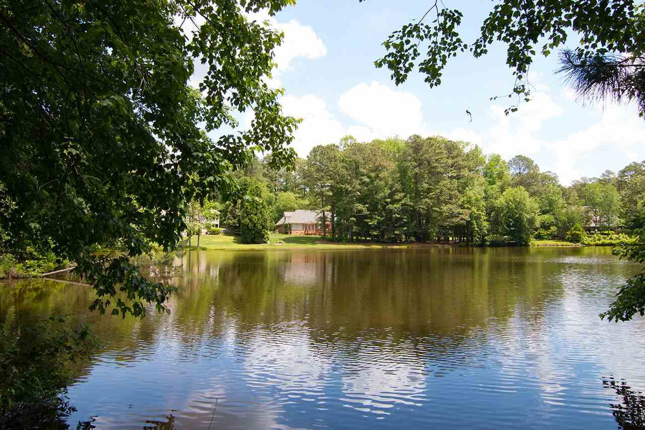 1509 Liatris Lane Raleigh, NC 27613 - Photo 2 of 27 lake