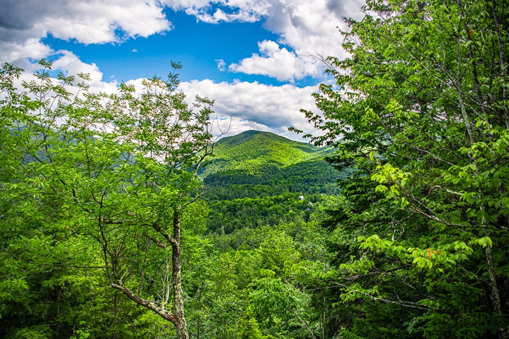 0 St Huberts Road Keene Valley, NY 12943 - Photo 8 of 9 Gallery Image 8