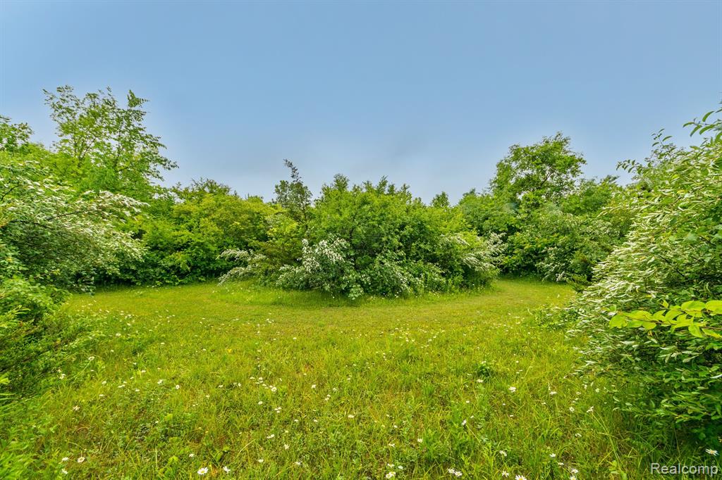 46210 West 11 Mile Road Novi, MI 48374 - Photo 64 of 97