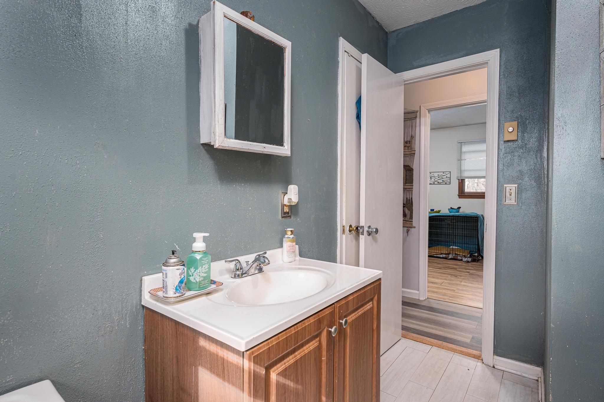 2 Laurel Brook Drive Flat Rock, NC 28731 - Photo 16 of 32 a bathroom with a sink and a mirror
