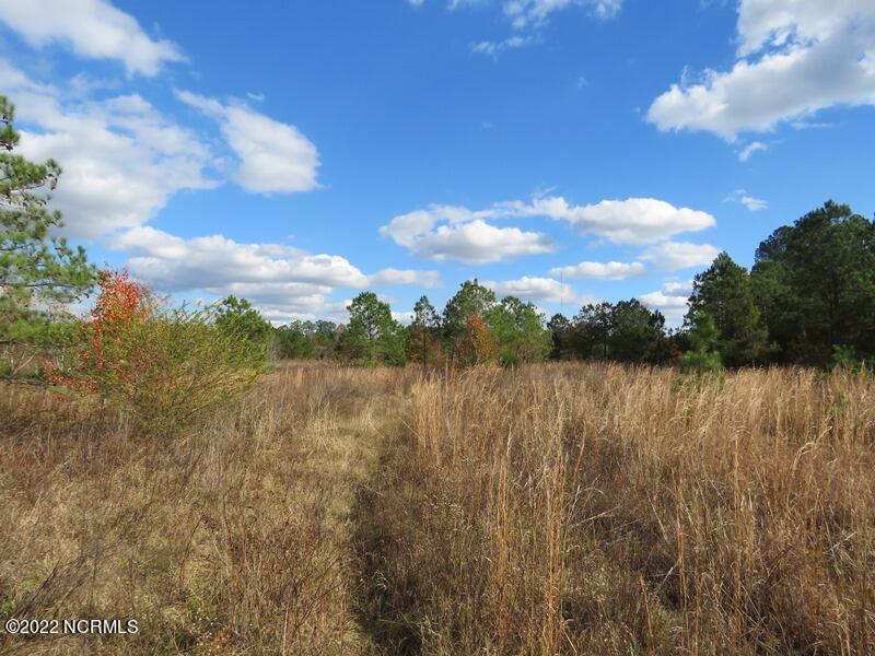 0 Lovette Road Lumberton, NC 28358 - Photo 35 of 39 IMG_6314