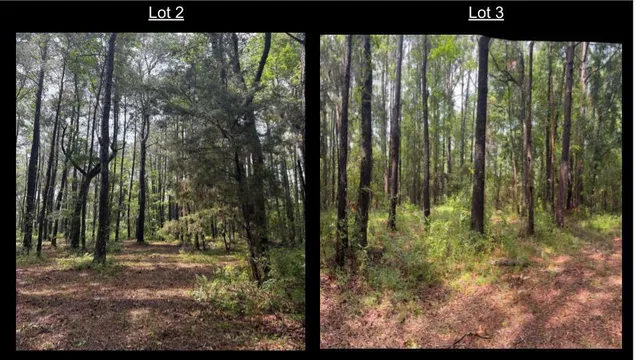 $711,000 | 1051 Butterfly Lane, Awendaw, SC 29429