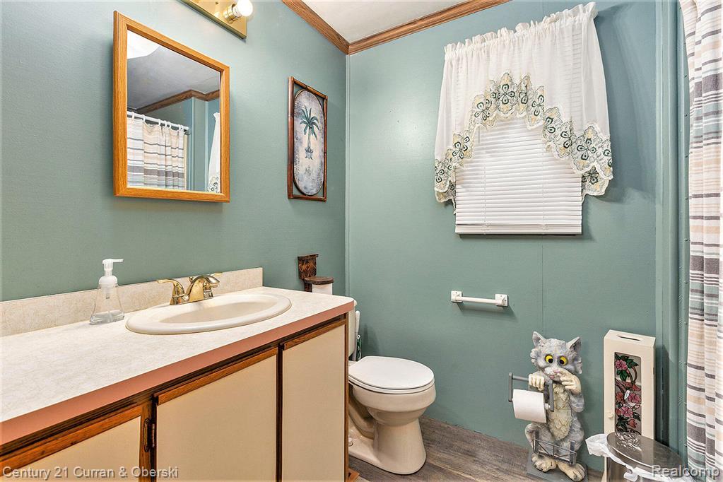 10228 Rexford Road Grass Lake, MI 49240 - Photo 11 of 24 Bathroom with vanity, ornamental molding, and wood finished floors