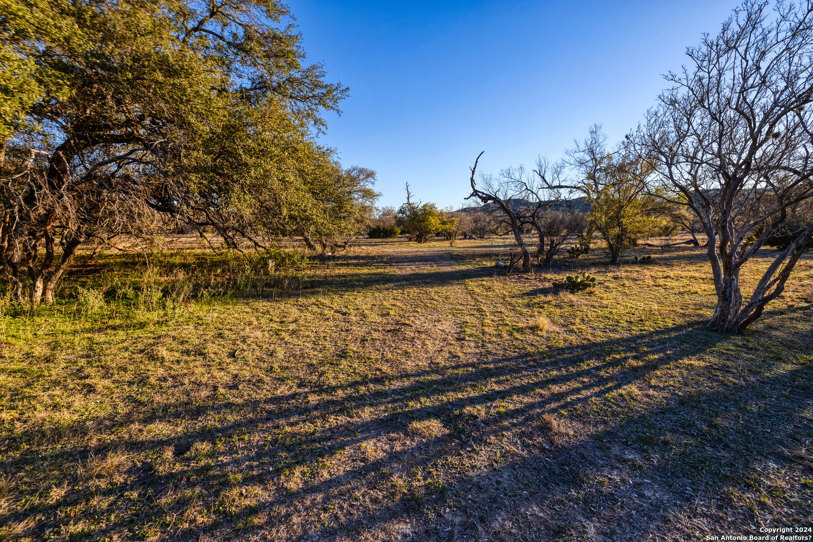 33309 Highway 55 Uvalde, TX 78801 - Photo 19 of 33 a view of a yard with wooden fence