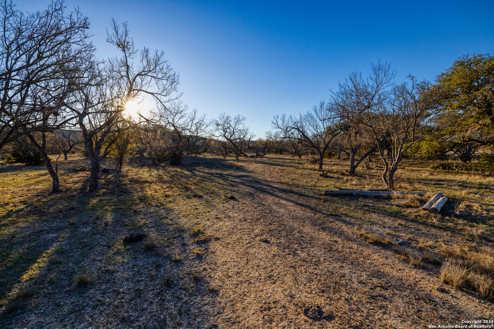 33309 Highway 55 Uvalde, TX 78801 - Photo 20 of 33 a view of a yard with mountain view