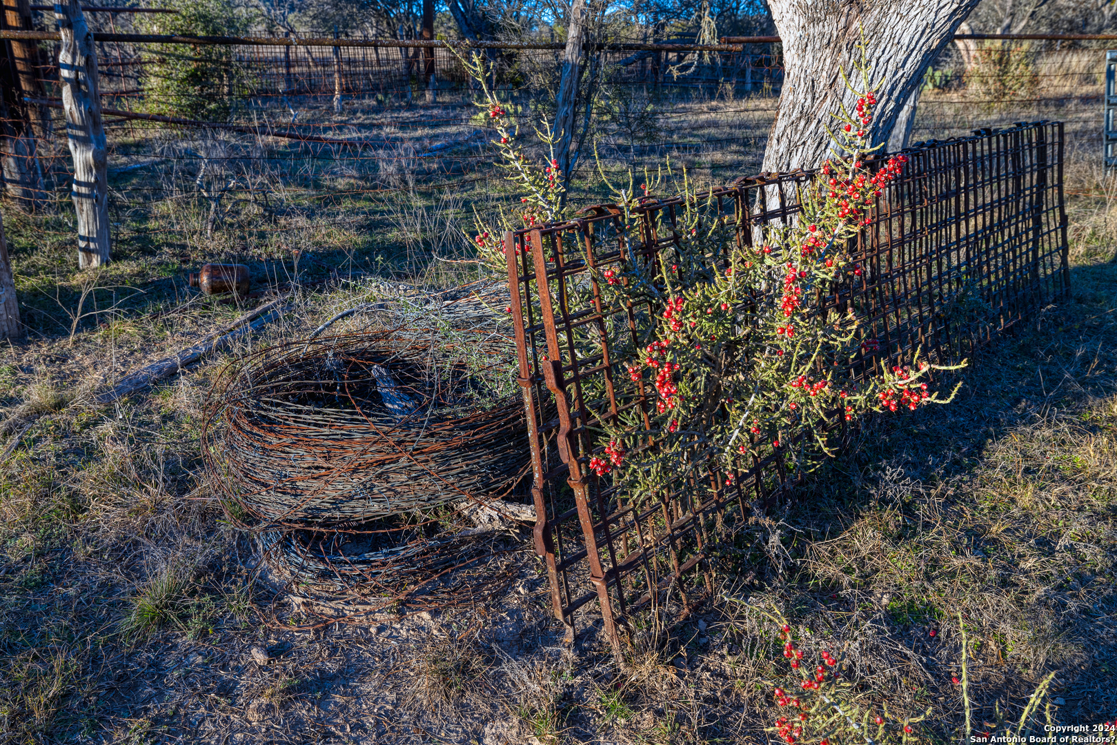 33309 Highway 55 Uvalde, TX 78801 - Photo 22 of 33