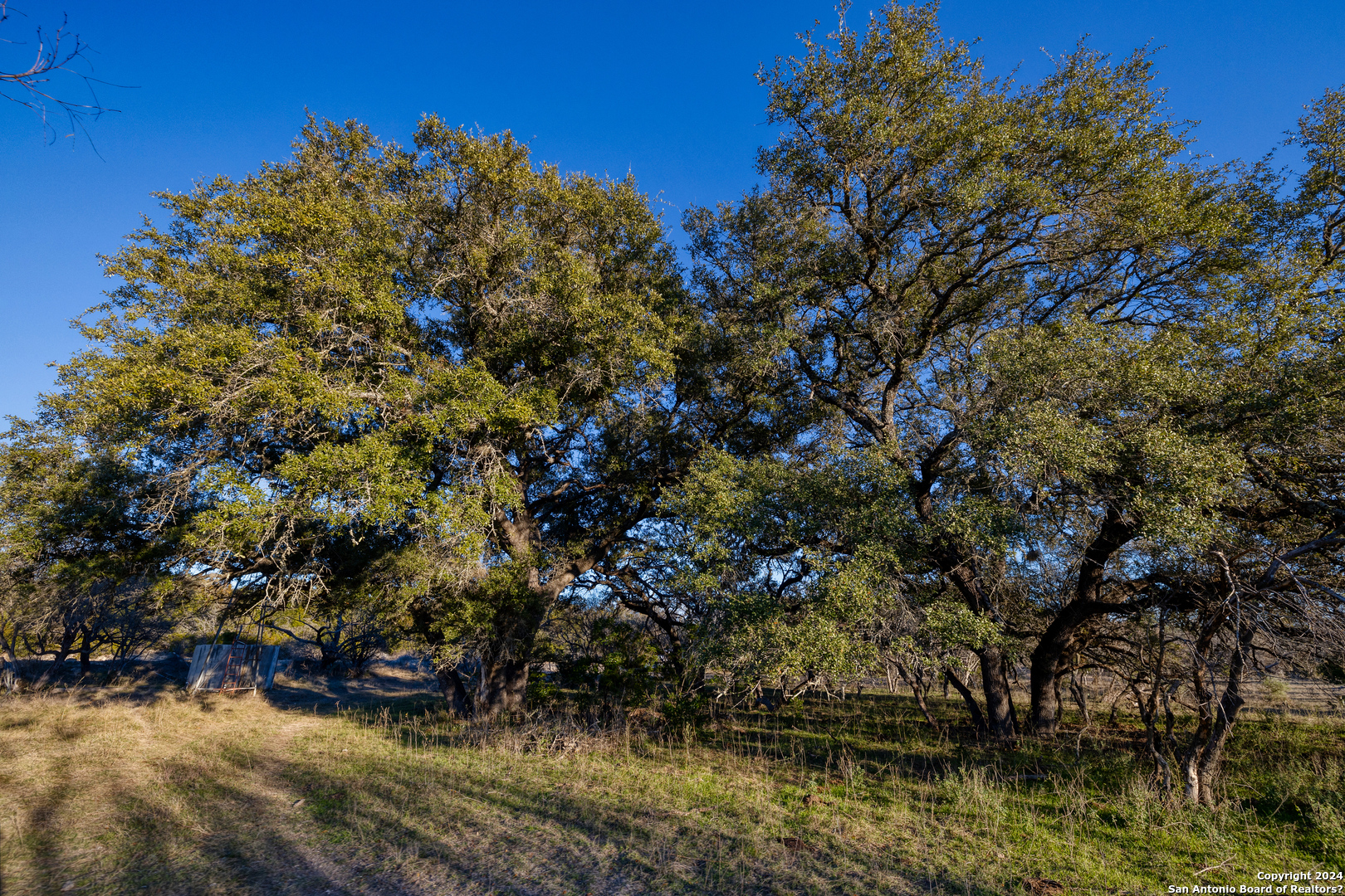 33309 Highway 55 Uvalde, TX 78801 - Photo 23 of 33
