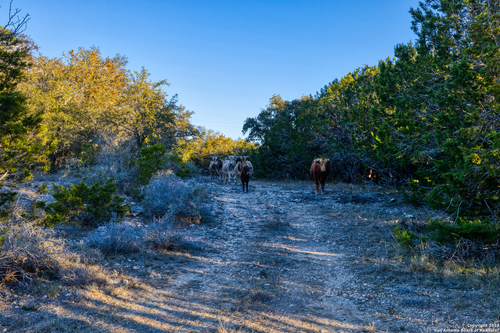 33309 Highway 55 Uvalde, TX 78801 - Photo 24 of 33 a view of outdoor space with deck and yard