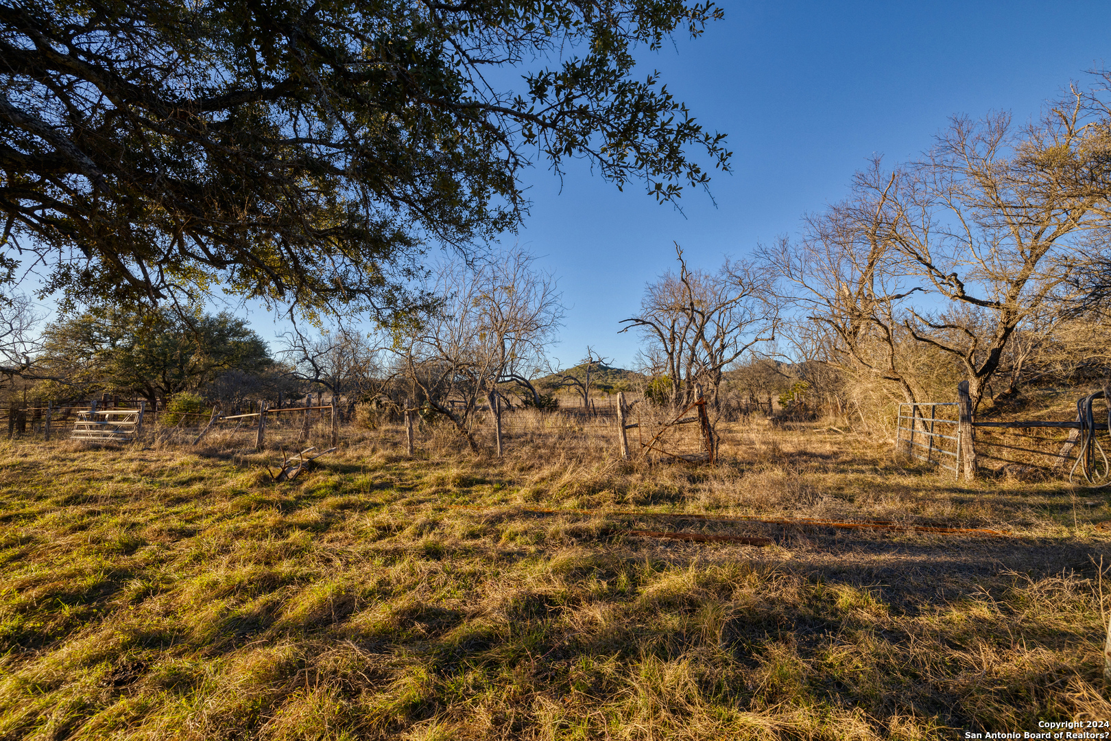 33309 Highway 55 Uvalde, TX 78801 - Photo 32 of 33 a view of a yard with plants and trees