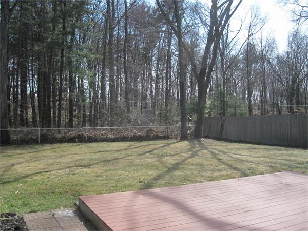 335 Maple Road Longmeadow, MA 01106 - Photo 10 of 10