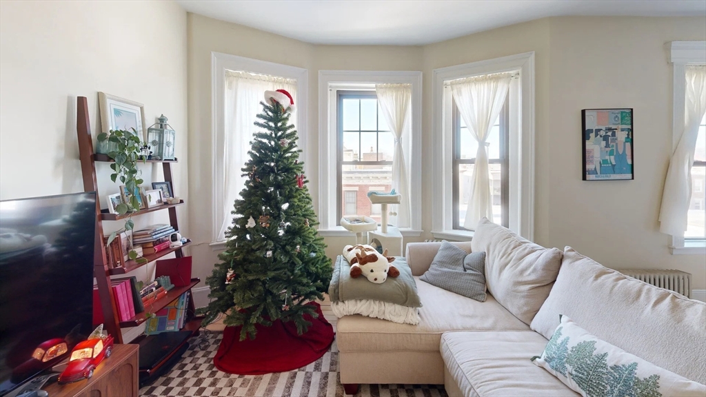 1161 Commonwealth Avenue, Unit 8 Boston, MA 02134 - Photo 2 of 17 a living room with furniture and a potted plant