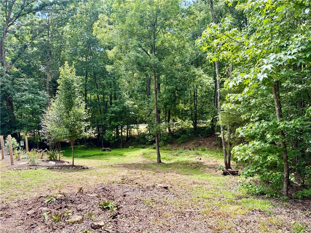 2595 Stokes Road Denton, NC 27239 - Photo 19 of 20
