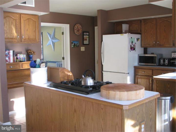 113 Ridgeview Lane Doylestown, PA 18901 - Photo 14 of 24 Kitchen