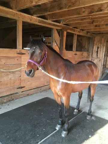 $249,900 | 797 Golf Links Road, Colebrook, NH 03576