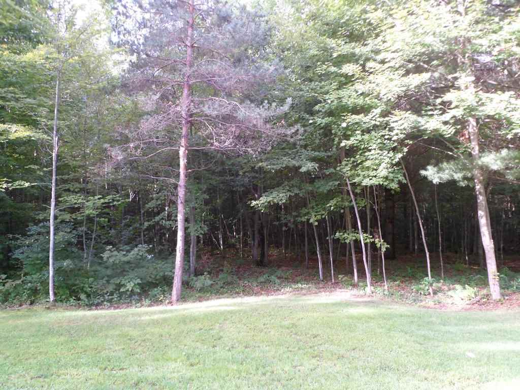 2860 South Chippewa Road Mount Pleasant, MI 48858 - Photo 36 of 36 1814336-35.JPG